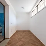 Delfino *